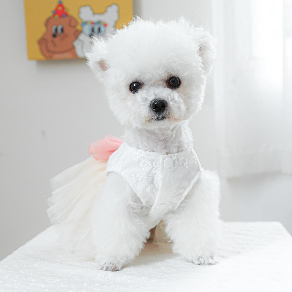 Dog Or Cat Clothes High-end Dress - canrusupet