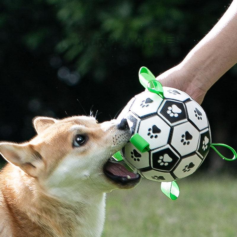Dog Interactive Soccer Style Dog Toys canrusupet