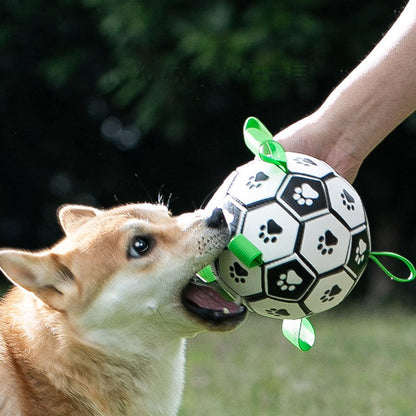 Dog Interactive Soccer Style Dog Toys canrusupet