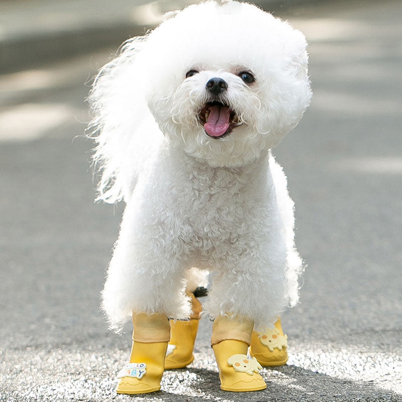 Gaobang Design Silicone Material Rain Boots For Small Dogs canrusupet