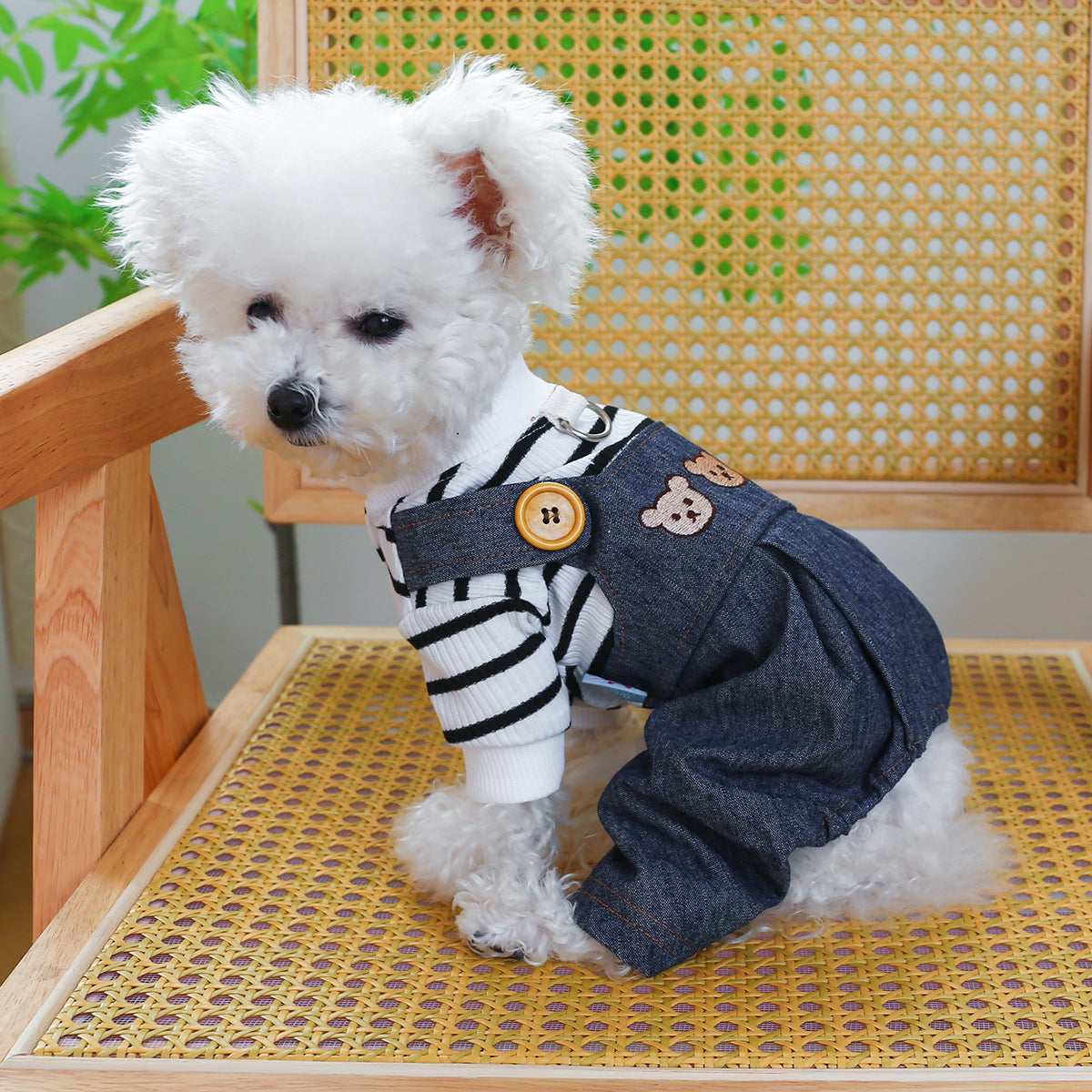 Dog Or Cat Clothes Basketball Bear head jeans - canrusupet