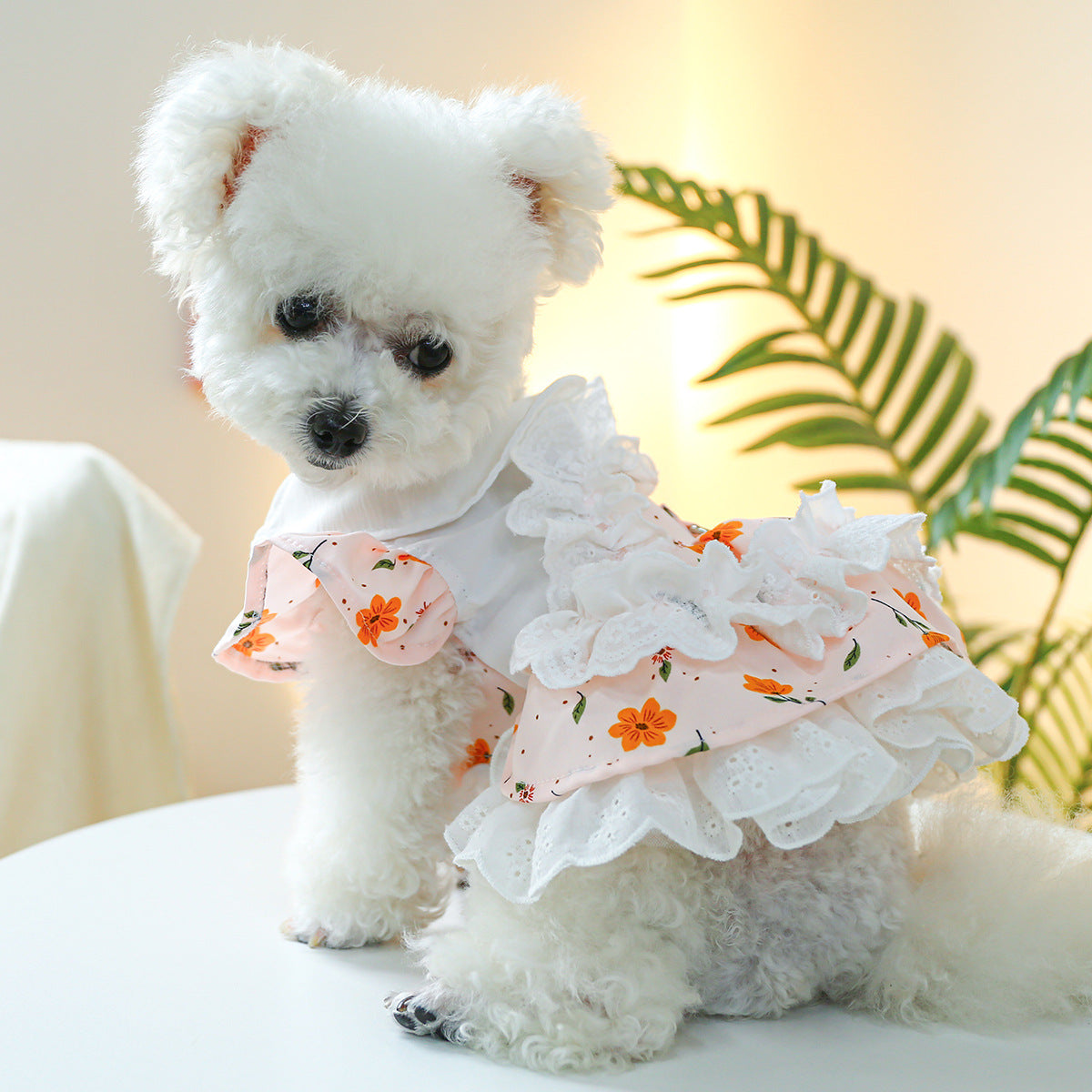 Dog Or Cat Clothes The Tulle Skirt - canrusupet