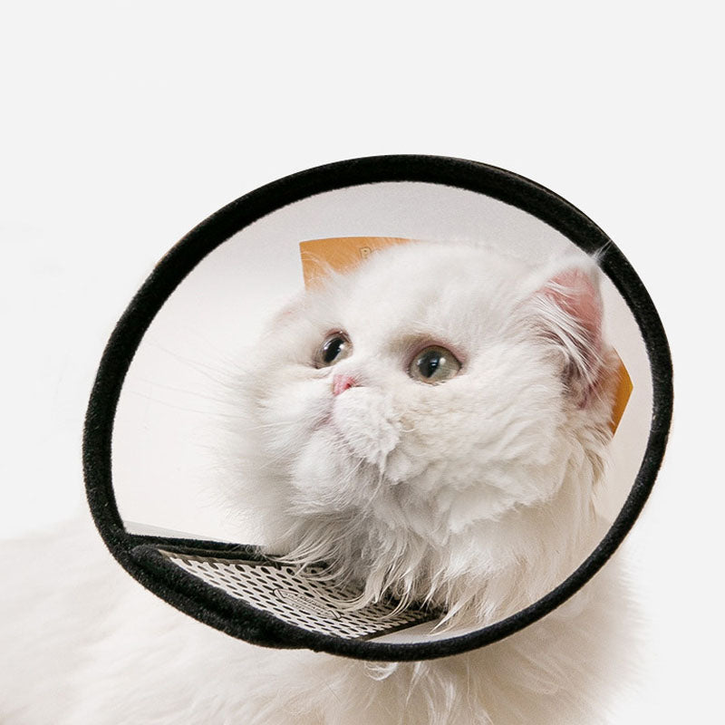 Anti Bite Cones Shield Neck Brace For Cats Dogs canrusupet