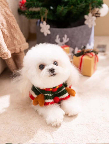 Christmas Winter Snowman Knit Dog Collar For Small Dog & Cat canrusupet