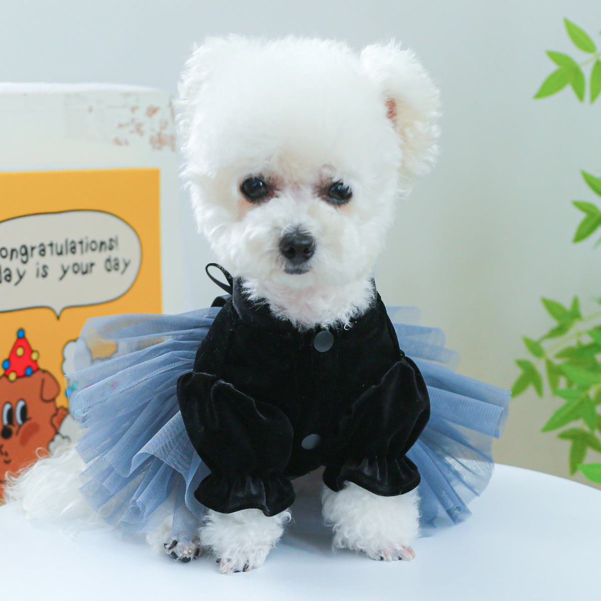 Dog Or Cat Clothes Black Shadow Bridal Gown - canrusupet