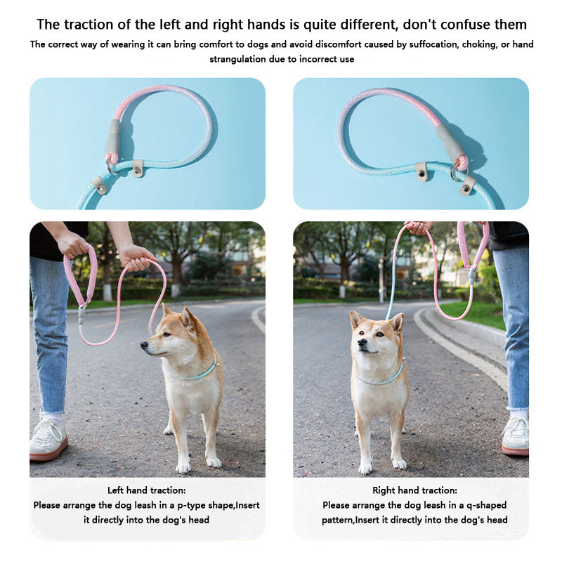 Ombre Dog Lead For Medium Dogs - Anti-Pull Training Leash canrusupet