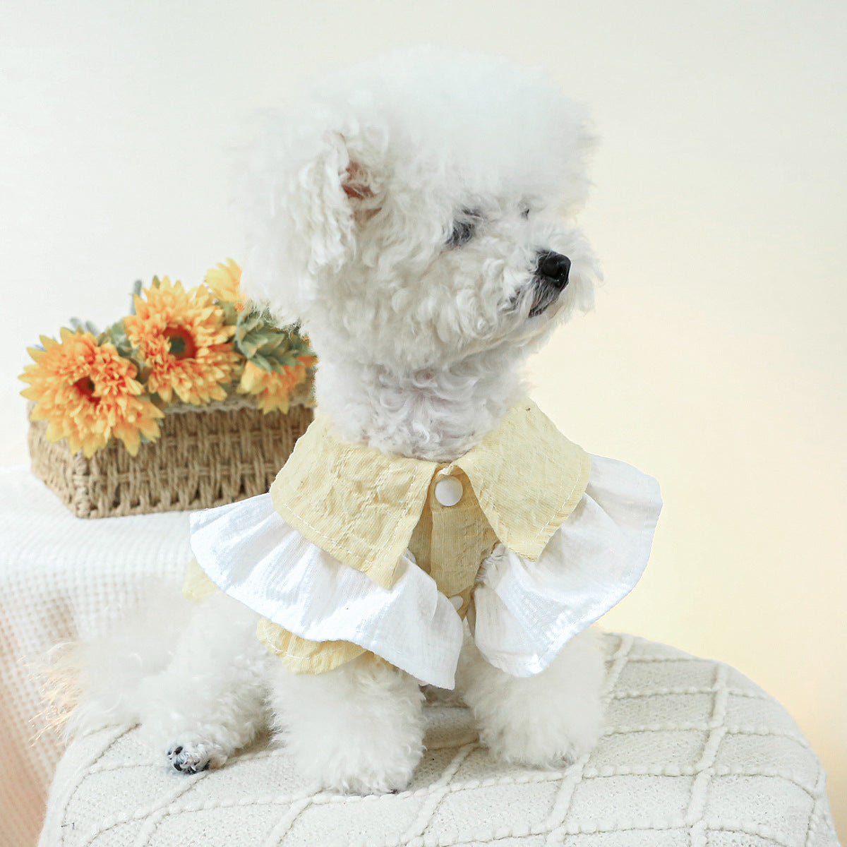 Dog Or Cat Clothes Doll Neck Dress - canrusupet