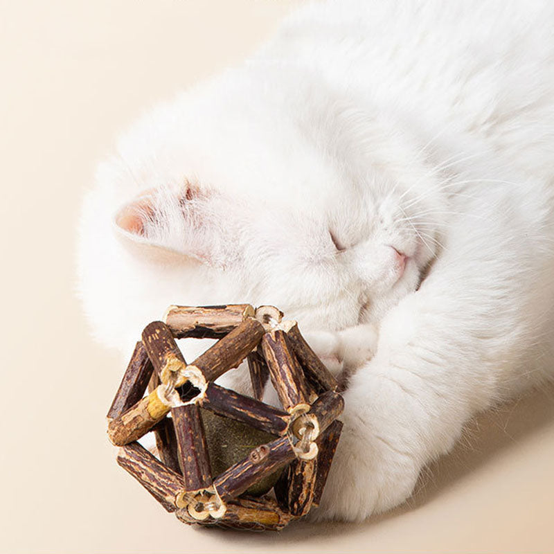 Silvervine Cat Toys With Matatabi & Catnip - Chew Sticks canrusupet