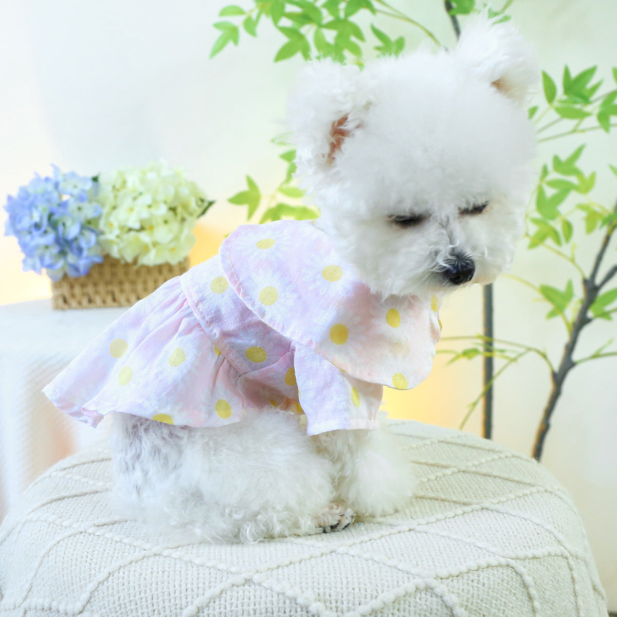 Dog Or Cat Clothes Minimalist Skirt - canrusupet