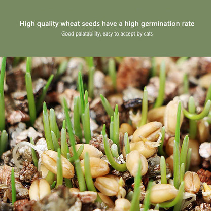 Easy-Grow Cat Grass Kit - Hairball Relief For Indoor Cats canrusupet