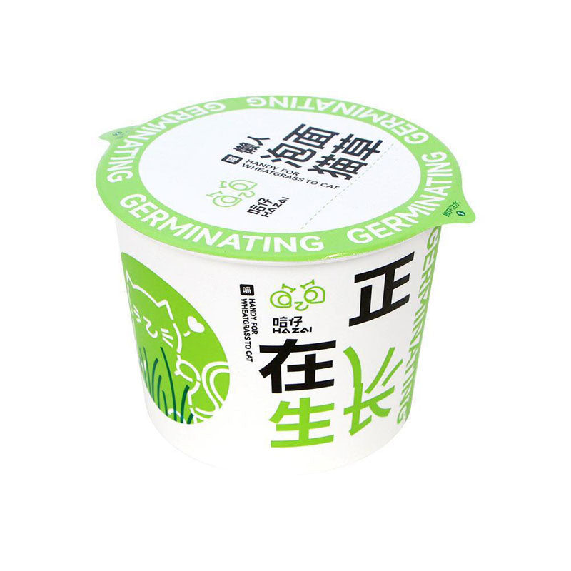 Easy-Grow Cat Grass Kit - Hairball Relief For Indoor Cats canrusupet