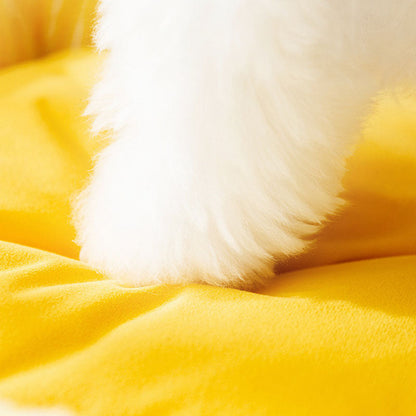 Big Eyed Cute Pattern Dog Kennel For Small And Medium Dogs canrusupet