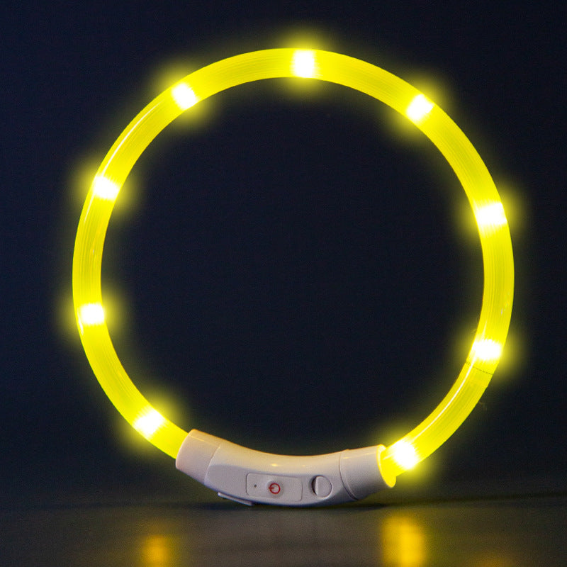 Glow Dog Choker Necklace – Rechargeable Adjustable Anti-Chew canrusupet