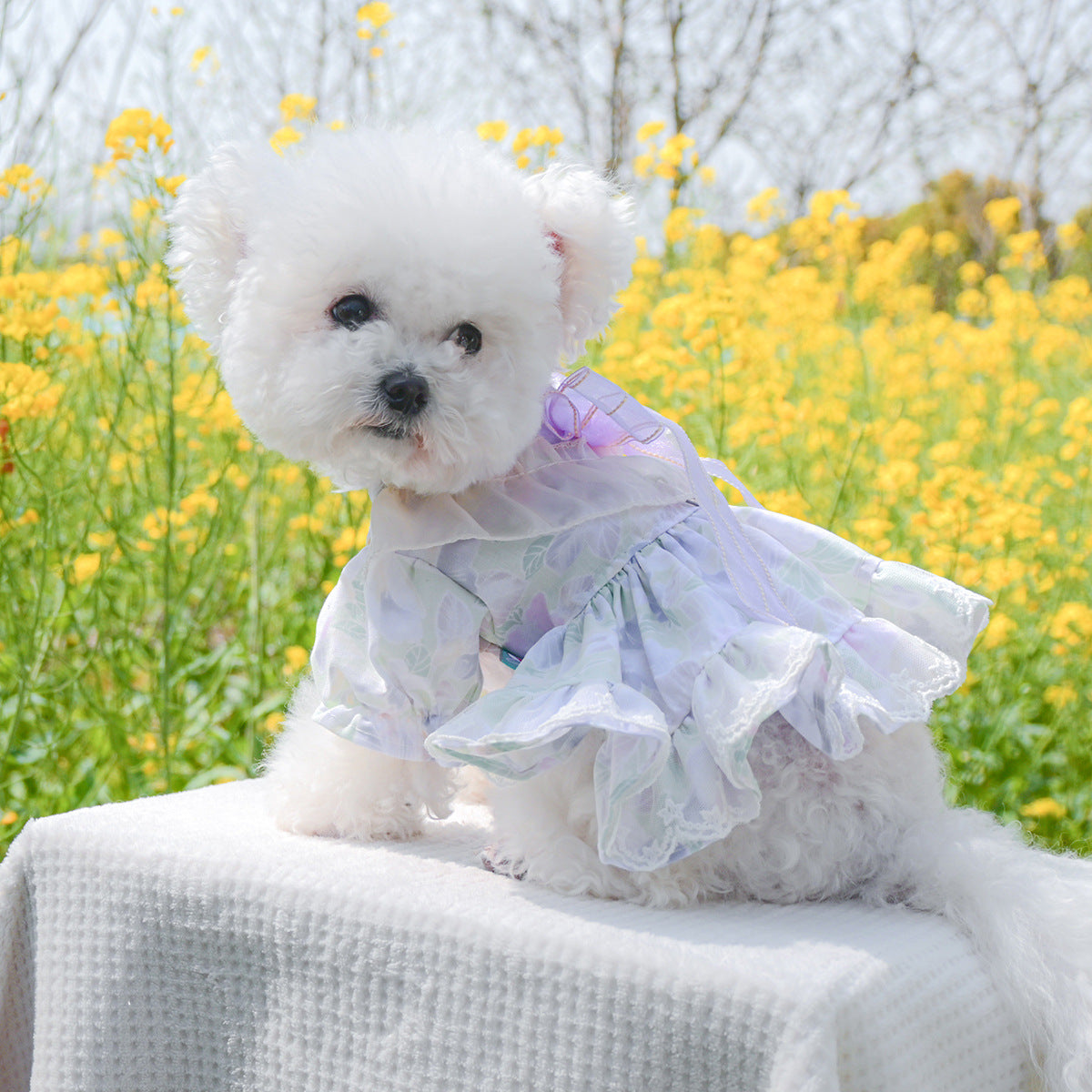 Dog Or Cat Clothes A Princess Dress With A Bow - canrusupet