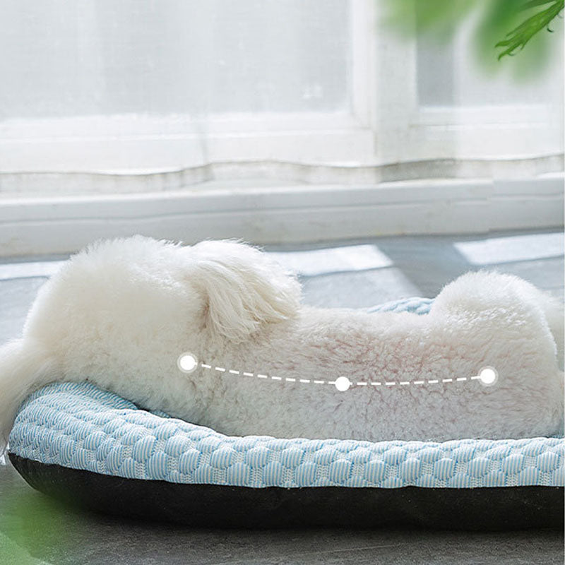 Ice Beans Cool Feeling Dog Kennel For Small Dogs Cats canrusupet