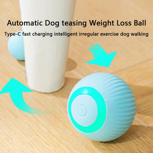 Chew-Proof Self-Rolling Dog Toys - Interactive Fetch Ball canrusupet