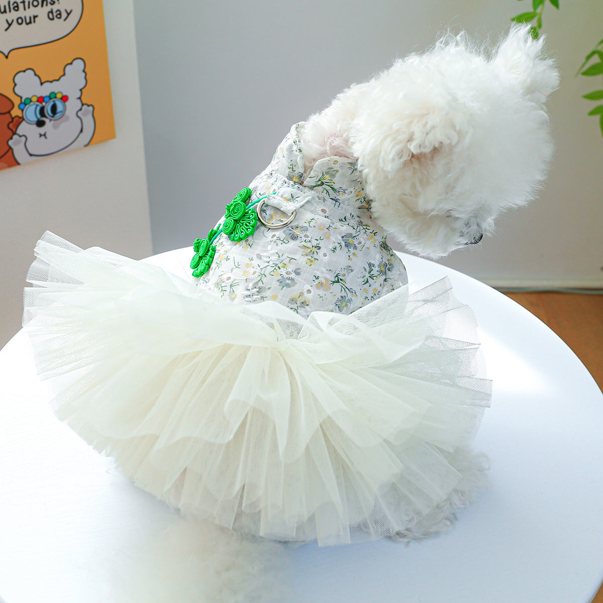 Dog Or Cat Clothes A little jojol dress - canrusupet