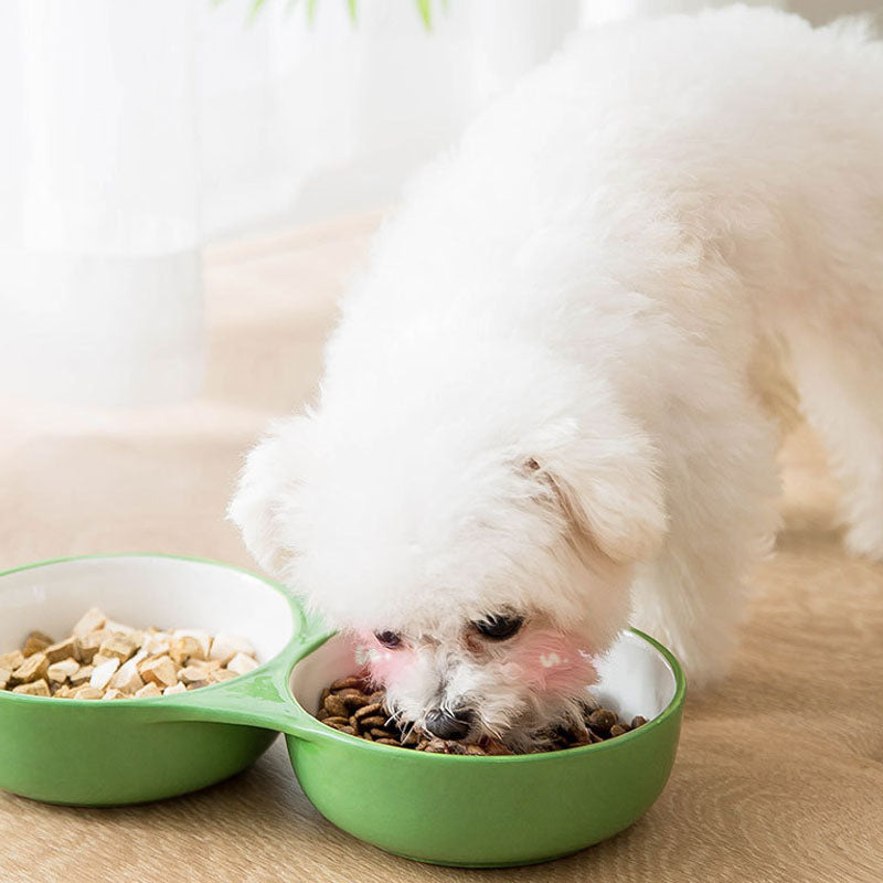 Ceramic Double Bowl Style Dog Bowl For Cats Dogs canrusupet