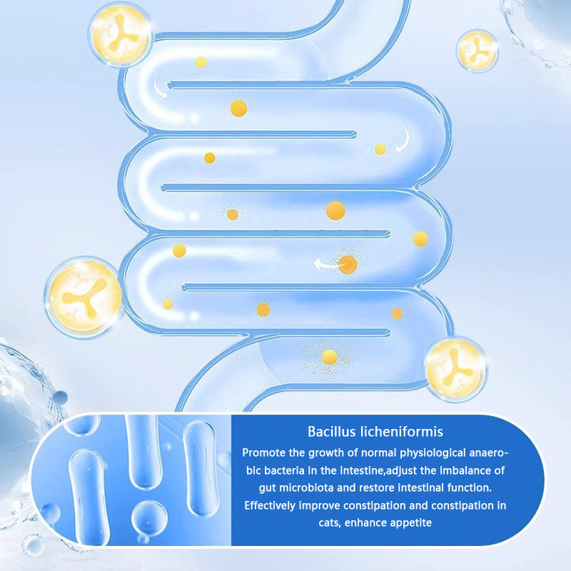 Lactoferrin Capsules Dog And Cat Universal canrusupet