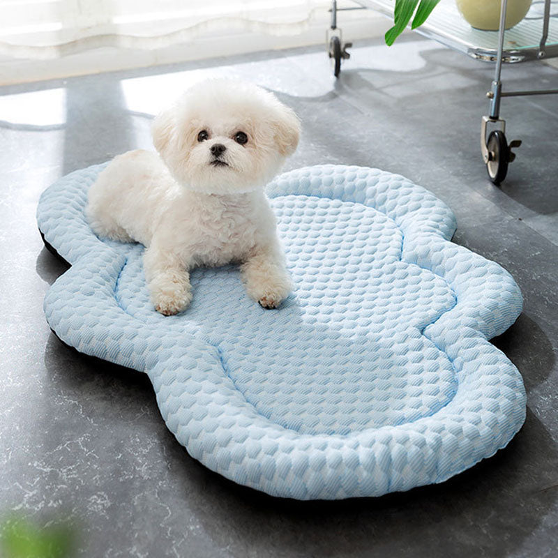 Cool Feeling Cloud Shaped Dog Kennel For Small Dogs Cats canrusupet