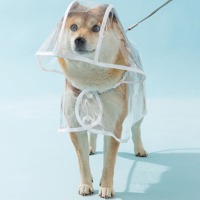 Dog Raincoat Waterproof Clear Cape - Small/Medium Dogs canrusupet