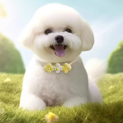 Outdoors Essential Oil Choker Necklace For Dogs Cats canrusupet