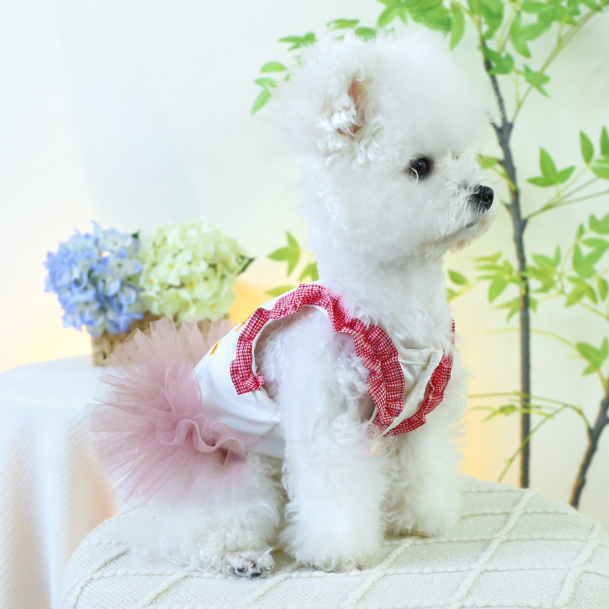 Dog or Cat Clothes Rainbow tulle dress - canrusupet