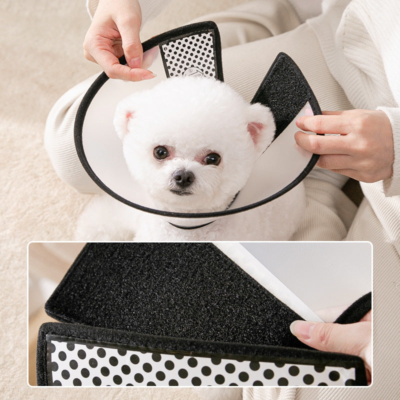 Anti Bite Cones Shield Neck Brace For Cats Dogs canrusupet