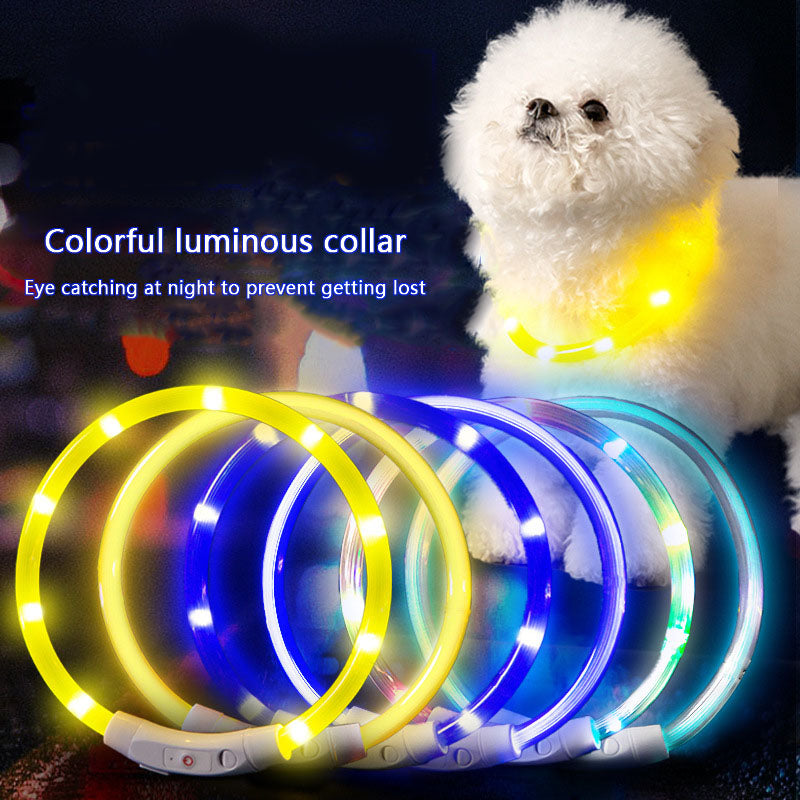 Glow Dog Choker Necklace – Rechargeable Adjustable Anti-Chew canrusupet
