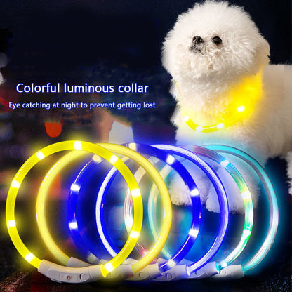 Glow Dog Choker Necklace – Rechargeable Adjustable Anti-Chew canrusupet