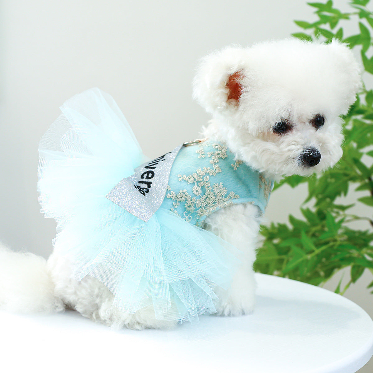 Dog Or Cat Clothes Miss Universe Dress - canrusupet