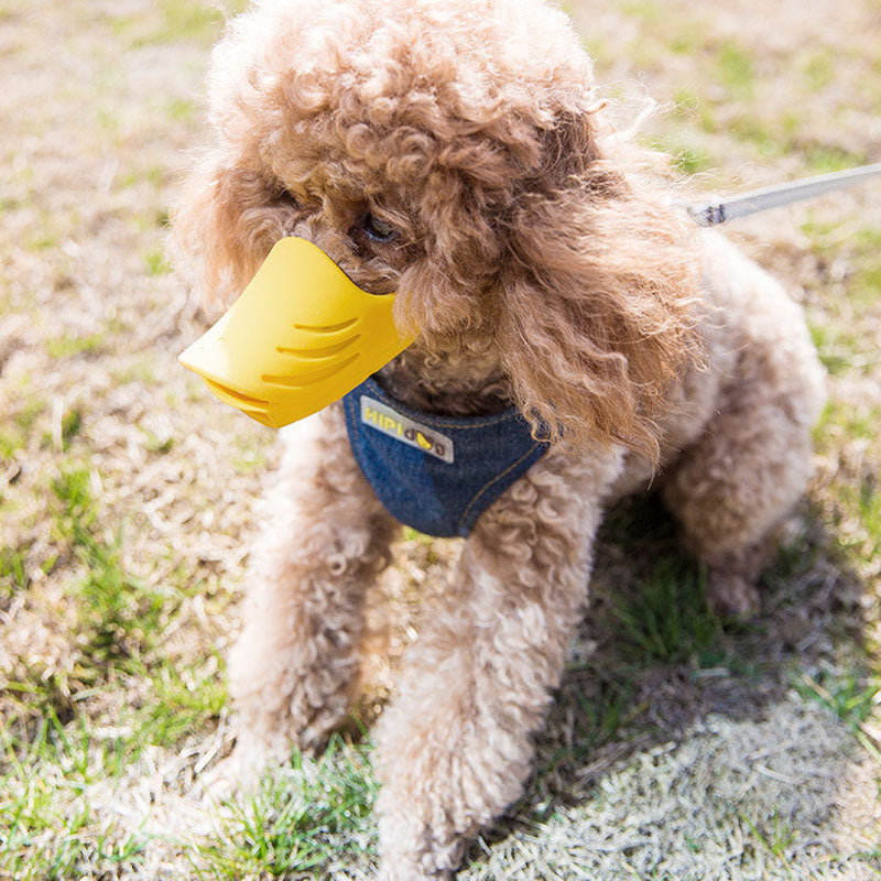 Duckbill Style Silicone Rubber Dog Muzzle For Small Dog canrusupet