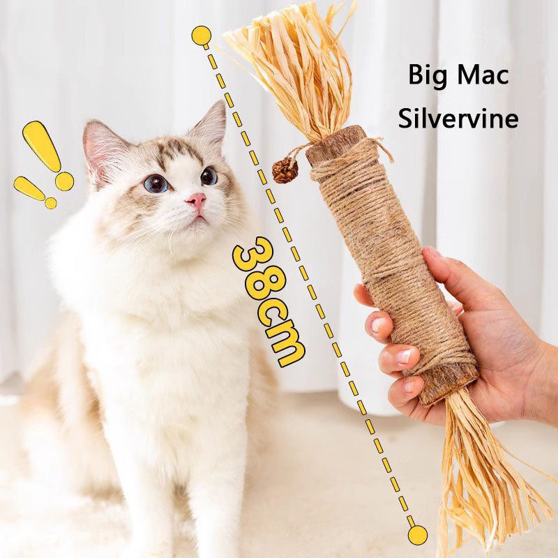 Jumbo Silvervine Cat Toys - Durable & Chew Toys For Kittens canrusupet