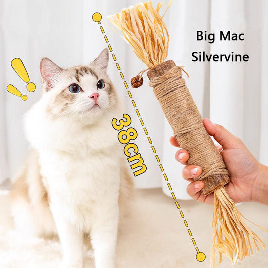 Jumbo Silvervine Cat Toys - Durable & Chew Toys For Kittens canrusupet