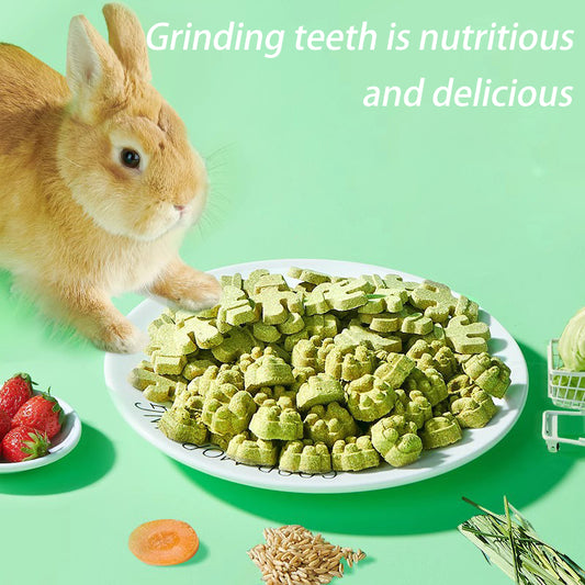 Rabbit Teeth Snack Nutrition Relief Nibble Small Food