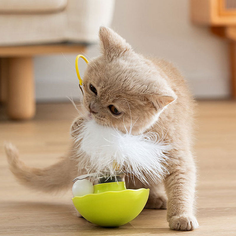 Interactive Catnip Toys With Feather, Bell & Mint Ball canrusupet