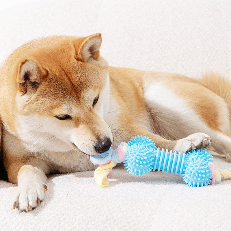 Durable Chew Dog Toys | Washable, Interactive Pet Toys canrusupet