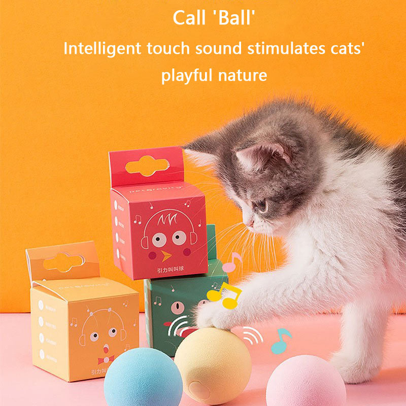 Catnip Toys Squeaky Ball For Cat - Chew-Resistant Kitten Toy canrusupet