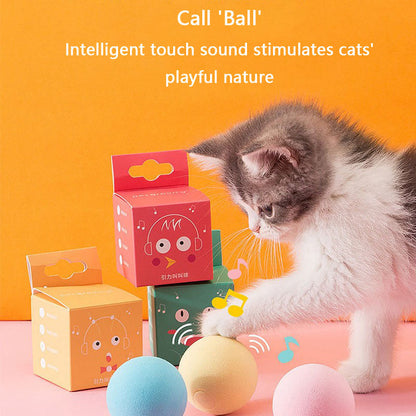 Catnip Toys Squeaky Ball For Cat - Chew-Resistant Kitten Toy canrusupet