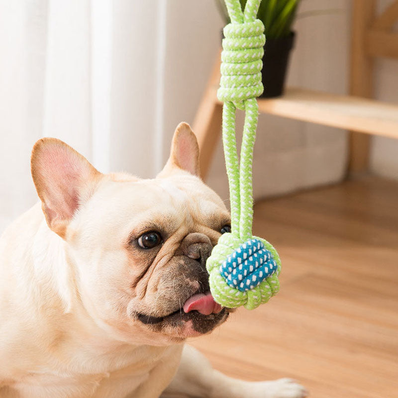 Teeth Grinding Knot Style Ball Style Dog Toys canrusupet