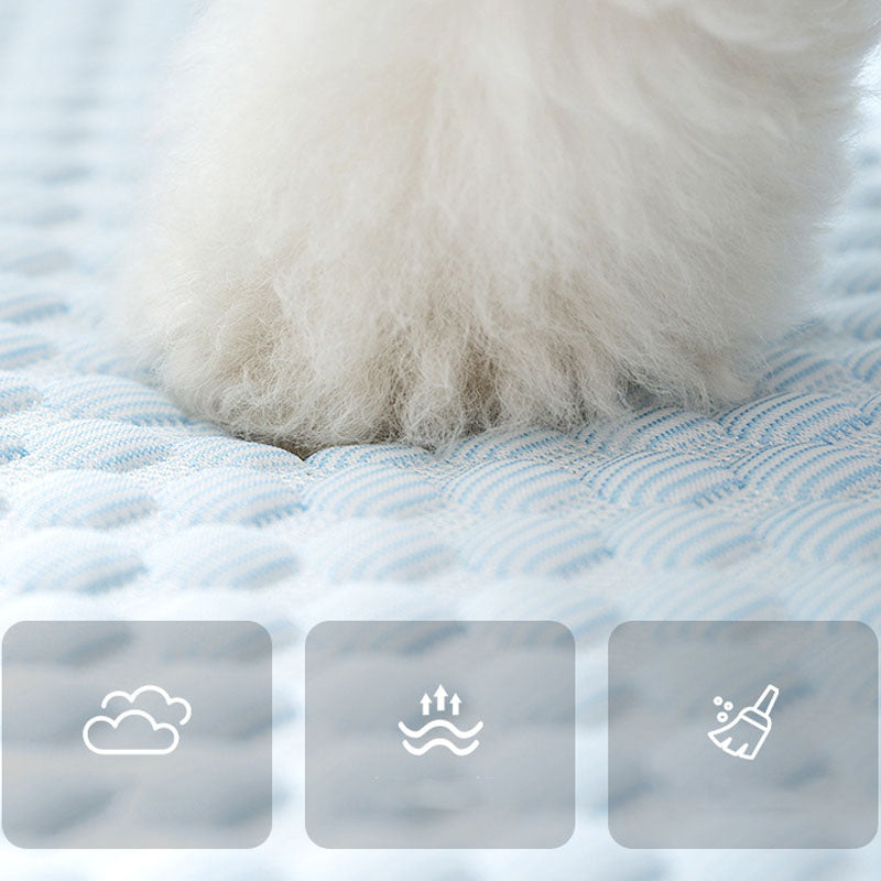 Big Eye Pattern Feeling Sofa Style Dog Kennel For Cats Dogs canrusupet