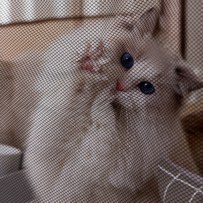 Foldable Style Rectangle Cat Delivery Room Cat House canrusupet