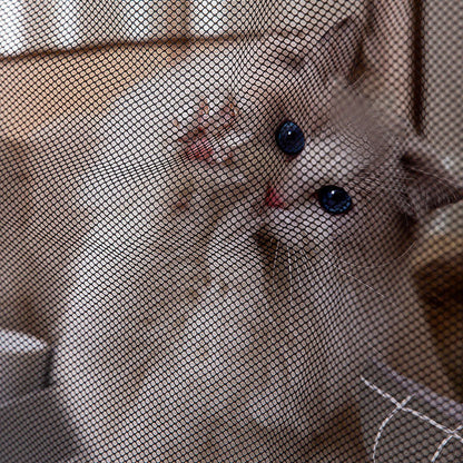 Foldable Style Rectangle Cat Delivery Room Cat House canrusupet