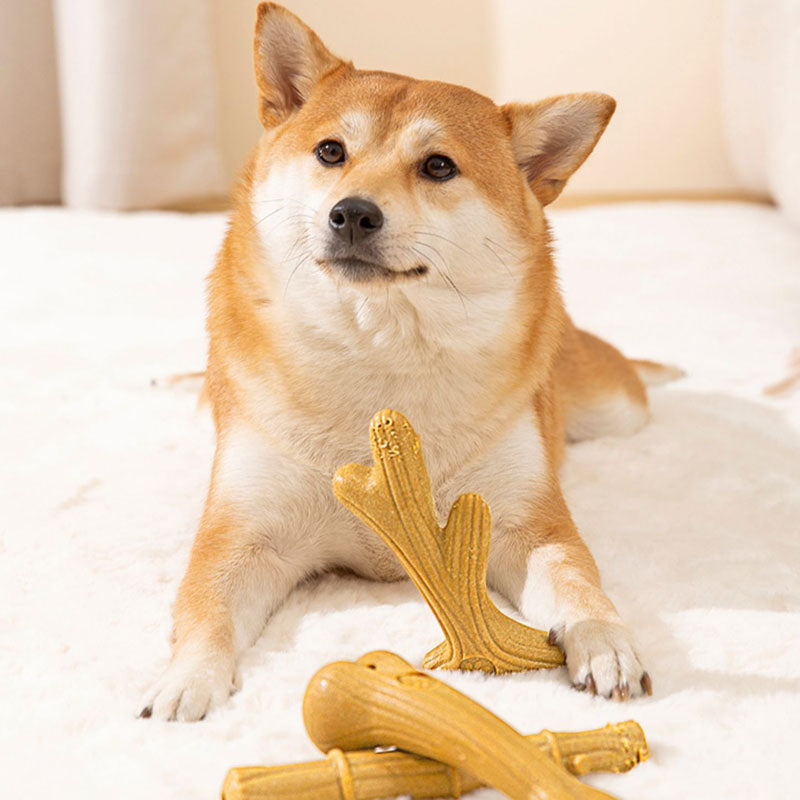 Teeth Grinding Dog Toys Suitable For All Dog Breeds canrusupet