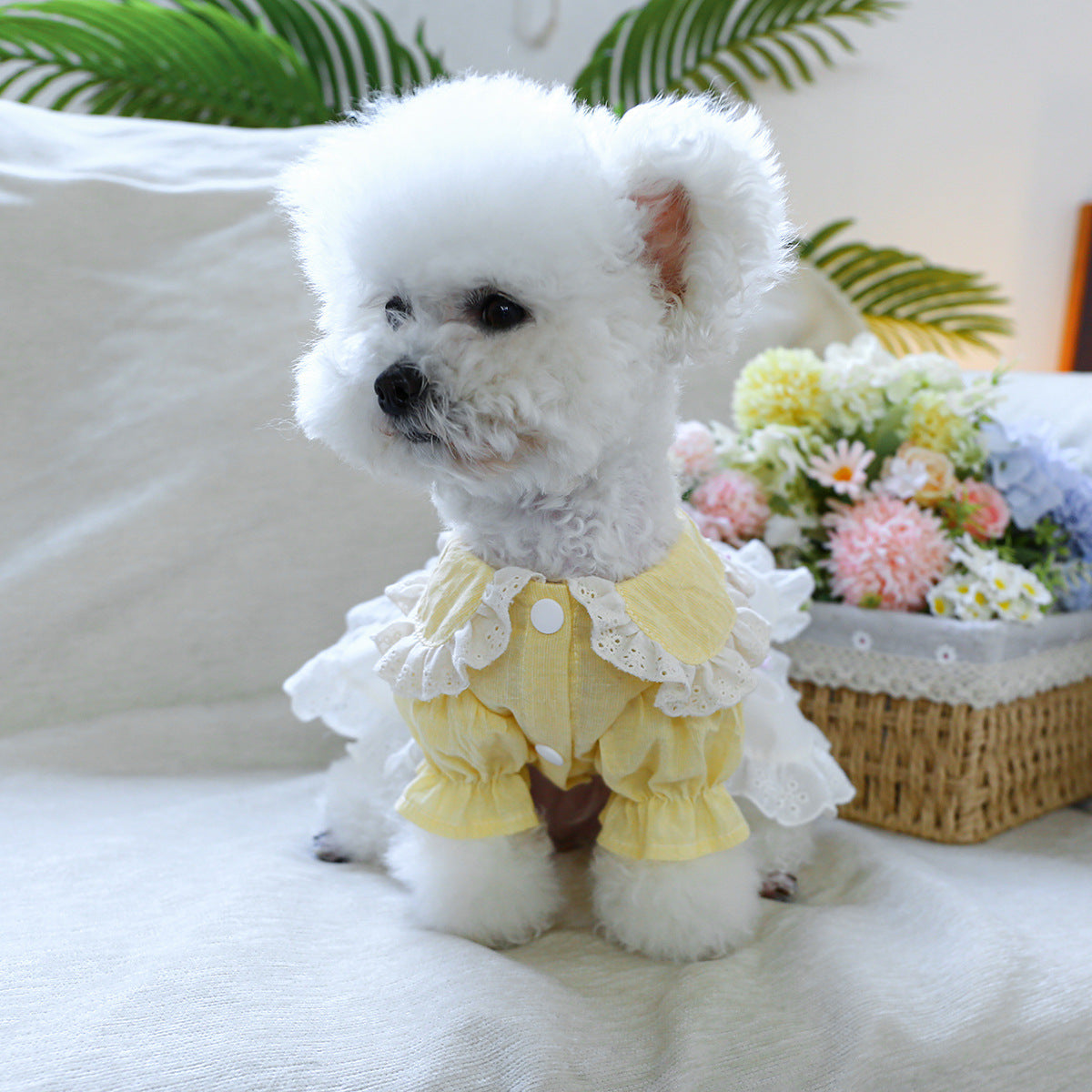 Dog Or Cat Clothes Embroidered Bear Gauze Dress - canrusupet