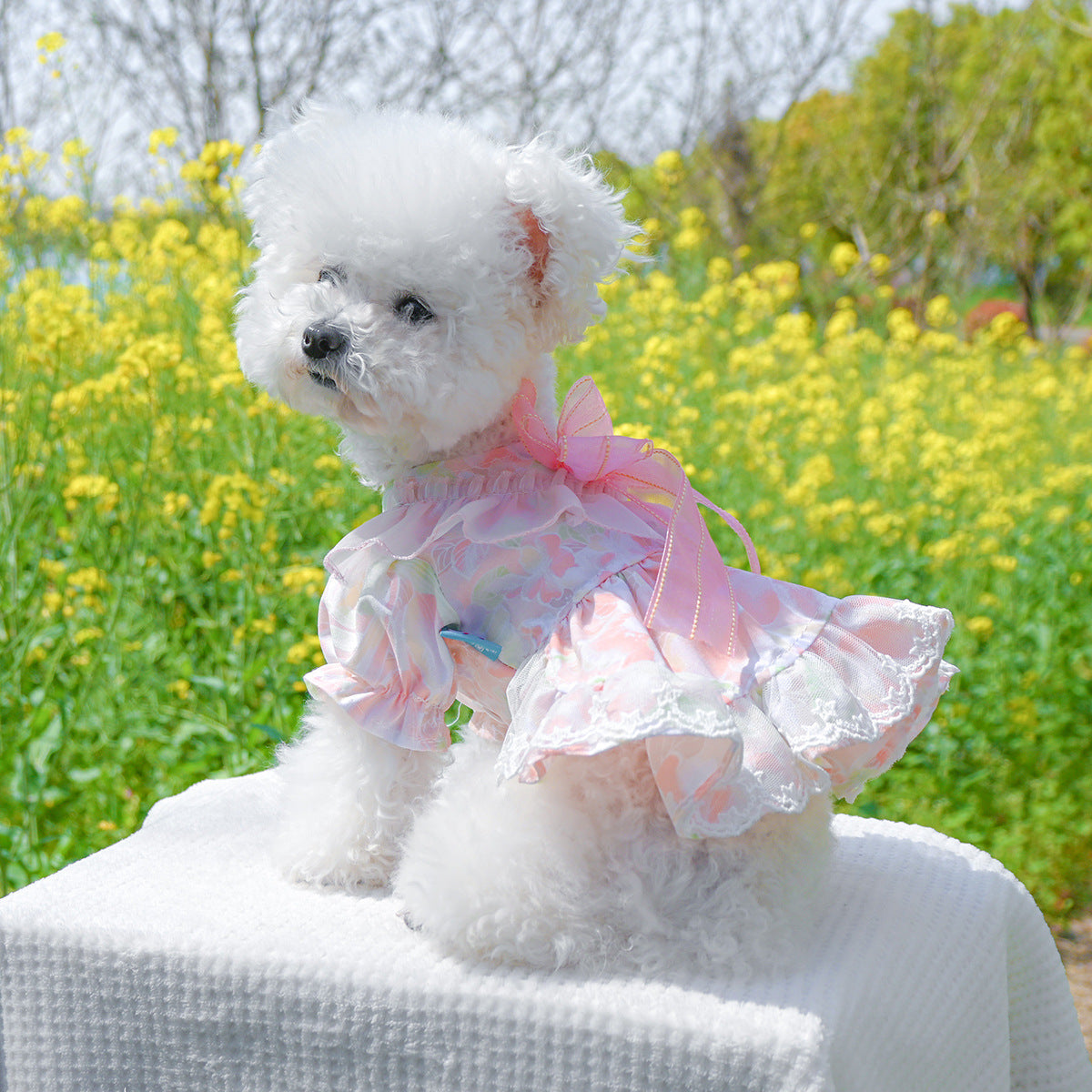 Dog Or Cat Clothes A Princess Dress With A Bow - canrusupet