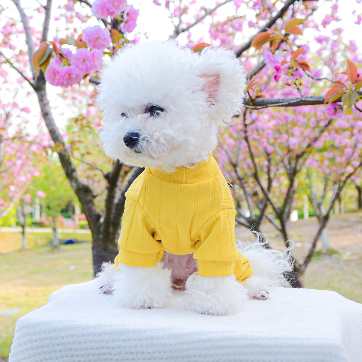 Dog Or Cat Clothes Pet Bear Housewear - canrusupet