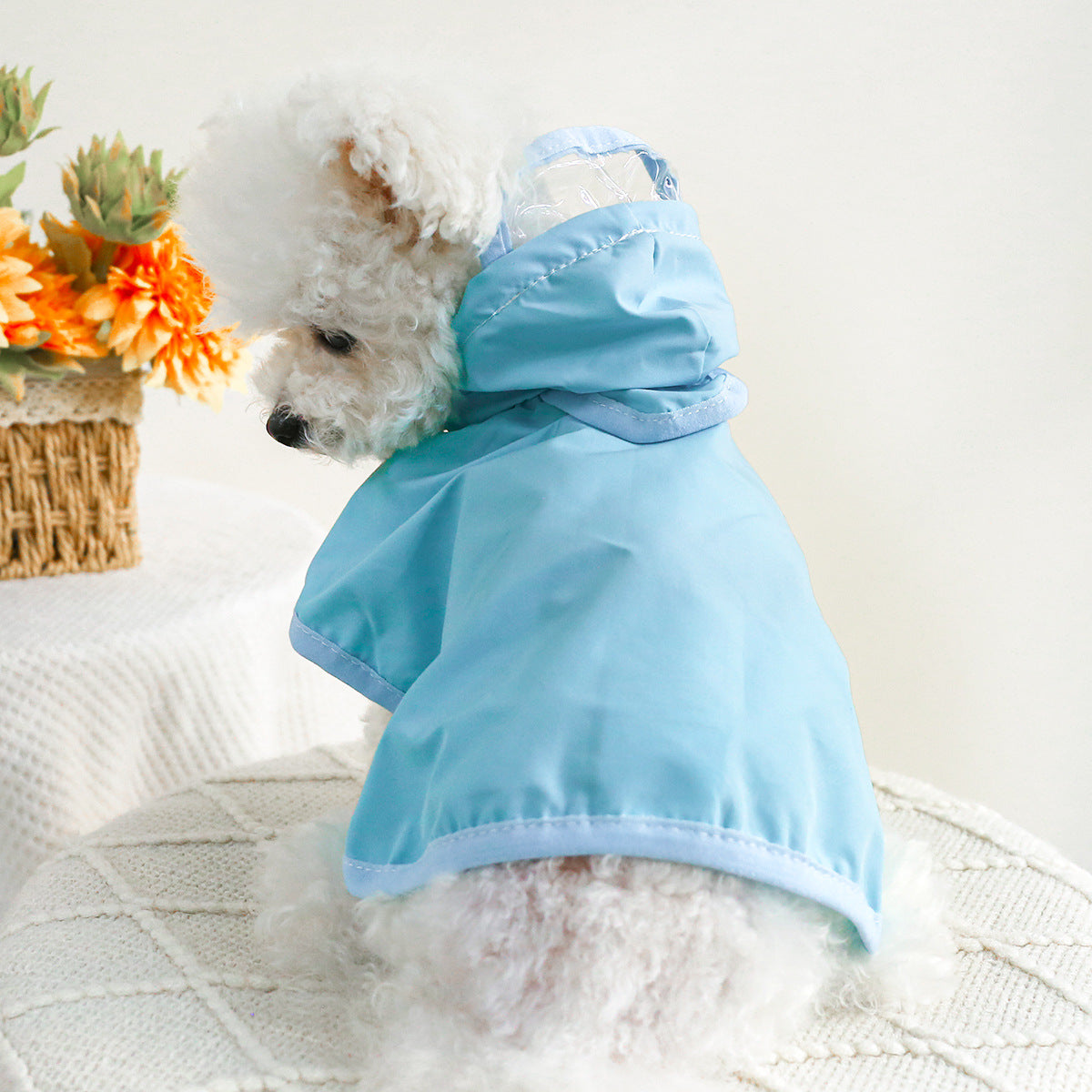 Pet Or  Dog Clothes Rainbow Poncho - canrusupet