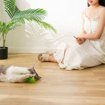 Cat Toys Teaser Wand - Chew-Proof Rod & Replaceable Head canrusupet