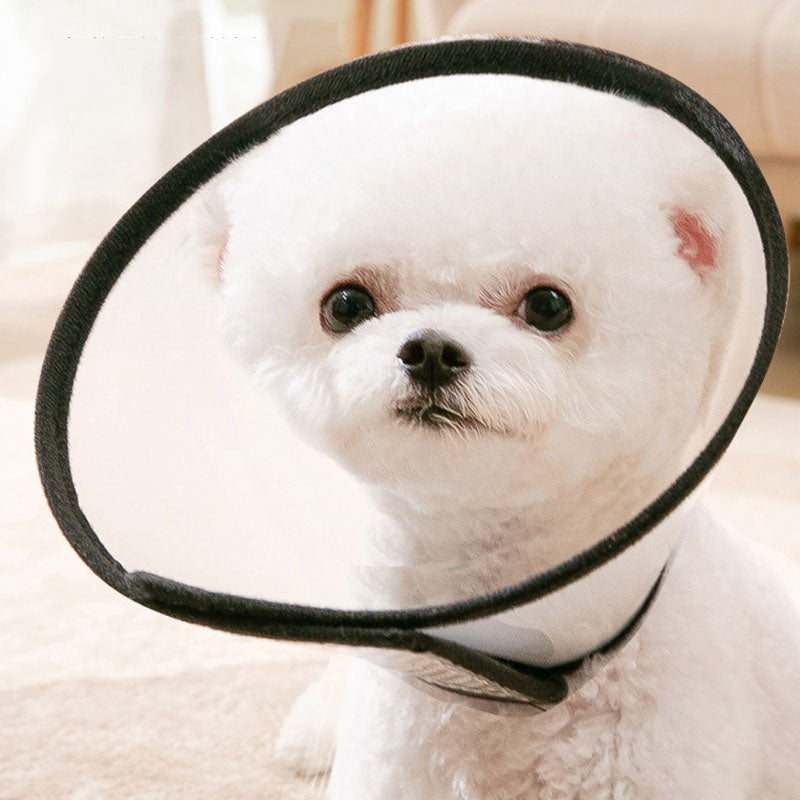 Anti Bite Cones Shield Neck Brace For Cats Dogs canrusupet